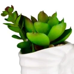 B&M Scandi Shore Small Shell Succulent 16 B&M Scandi Shore Small Shell Succulent -Home Furnishing Shop 380110 small shell succulent 2
