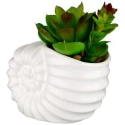 B&M Scandi Shore Small Shell Succulent 14 B&M Scandi Shore Small Shell Succulent -Home Furnishing Shop 380110 small shell succulent 3