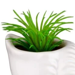 B&M Scandi Shore Small Shell Succulent 18 B&M Scandi Shore Small Shell Succulent -Home Furnishing Shop 380110 small shell succulent 5