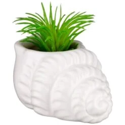 B&M Scandi Shore Small Shell Succulent 15 B&M Scandi Shore Small Shell Succulent -Home Furnishing Shop 380110 small shell succulent 6