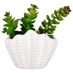 B&M Scandi Shore Small Shell Succulent 13 B&M Scandi Shore Small Shell Succulent -Home Furnishing Shop 380110 small shell succulent 7