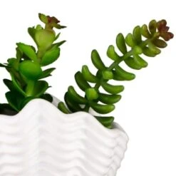 B&M Scandi Shore Small Shell Succulent 19 B&M Scandi Shore Small Shell Succulent -Home Furnishing Shop 380110 small shell succulent 8