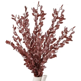 B&M Eucalyptus In Stone Pot 4 B&M Eucalyptus In Stone Pot - Image 2