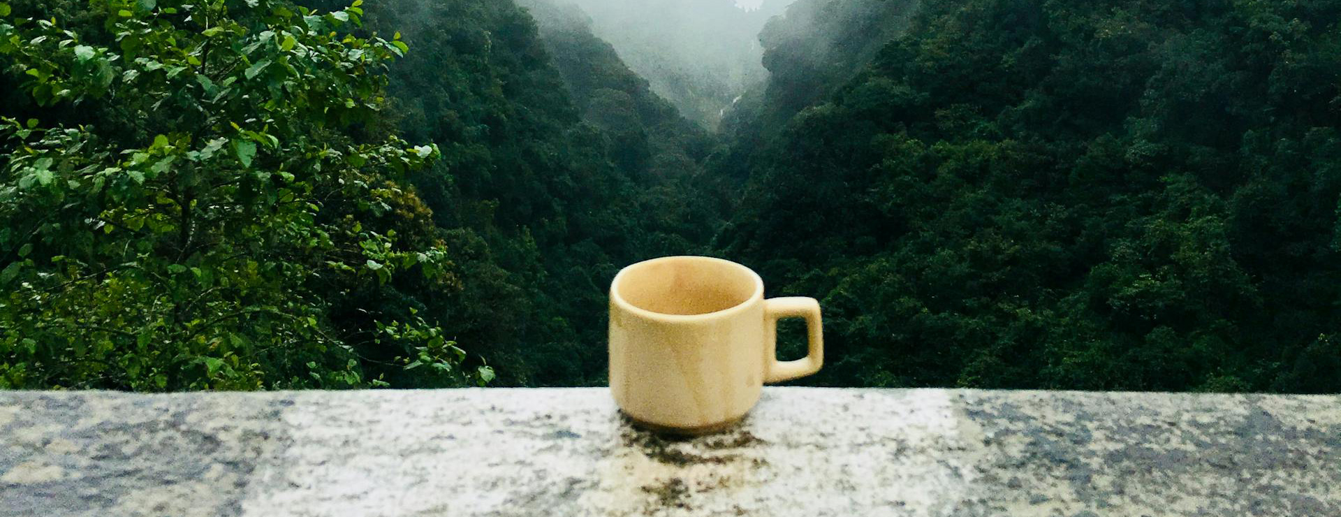 Home Furnishing Shop 1 Home Furnishing Shop -Home Furnishing Shop pexels saif selim 206548 641038